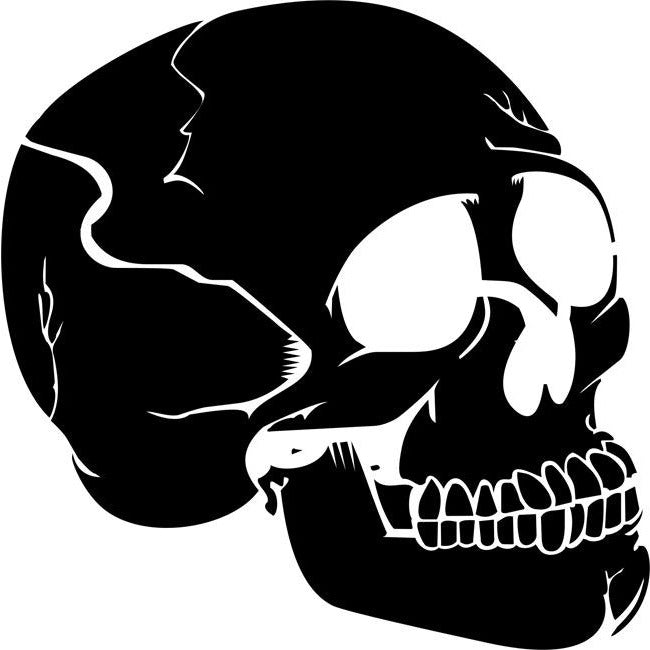 Human Skull Profile Stencil