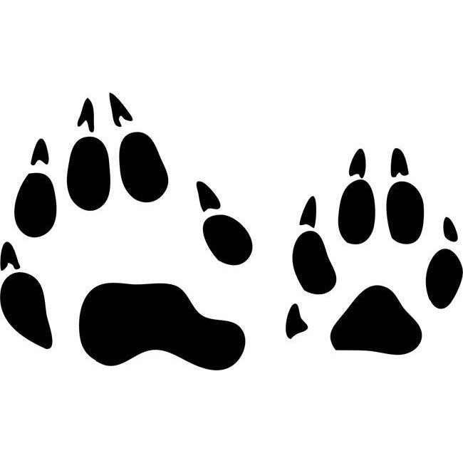 Raccoon Animal Tracks Stencil