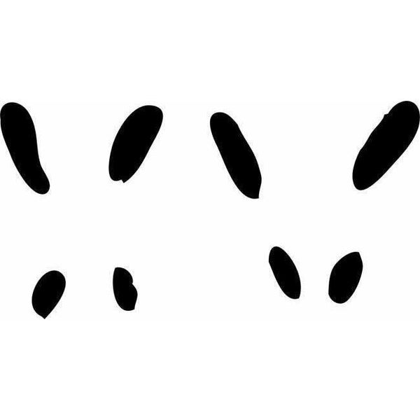 Animal Track Stencils