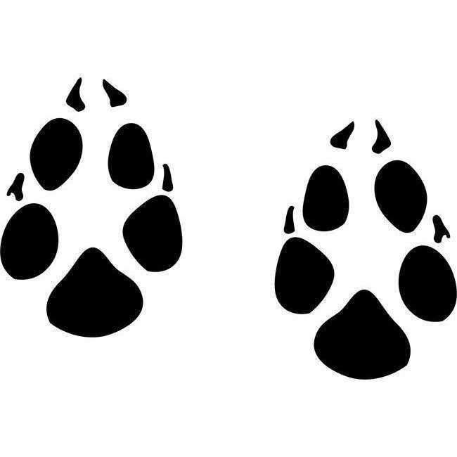 Black Bear Animal Tracks Stencil