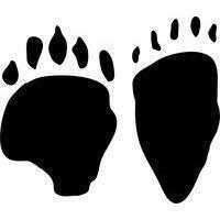 Animal Track Stencils