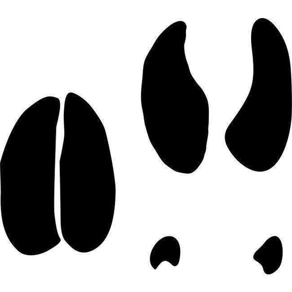 Animal Track Stencils