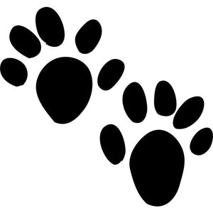 Otter Animal Tracks Stencil