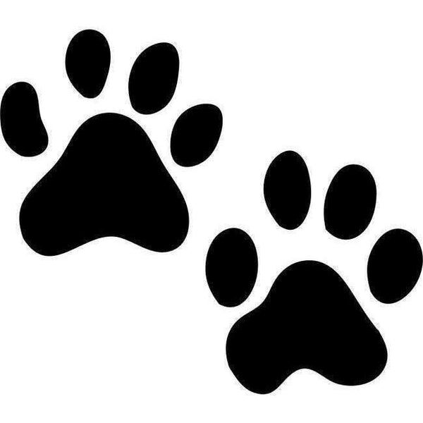 Animal Track Stencils