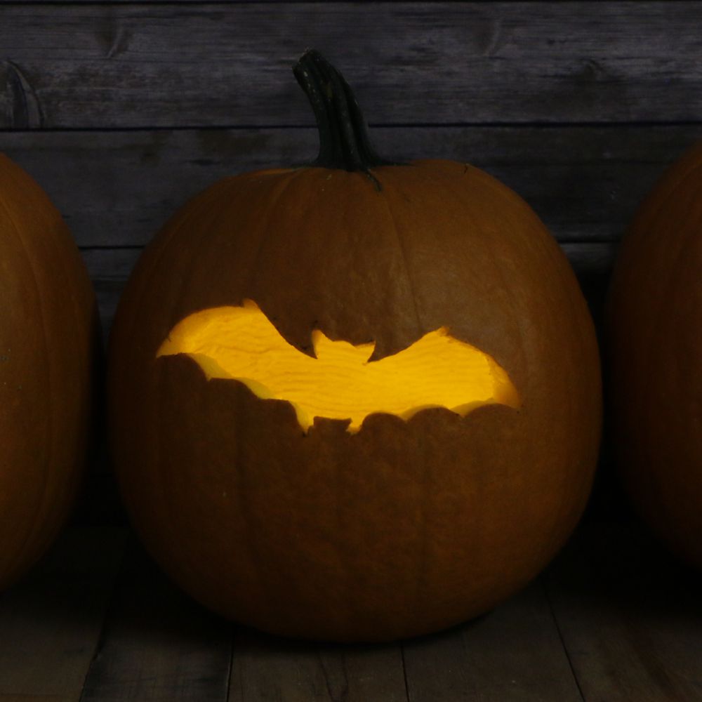 Bat cheap carved pumpkin
