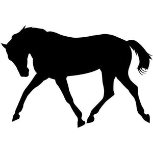 Bucking Horse Stencil