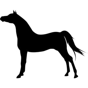 Standing Horse Stencil