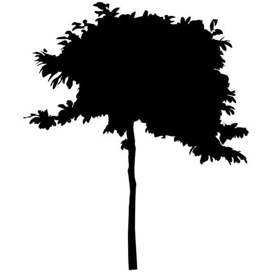 Tree Craft Stencils