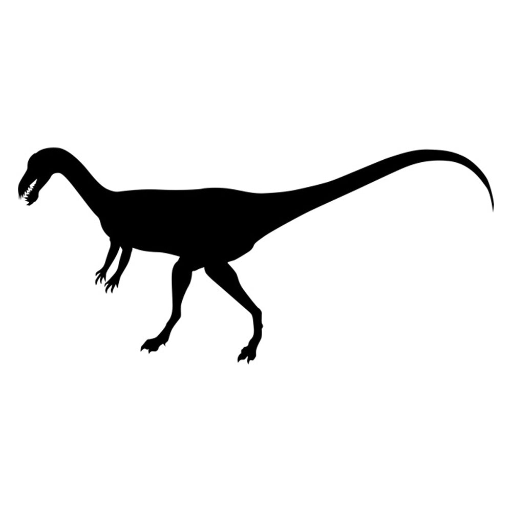 Syntarsus Dinosaur Stencil