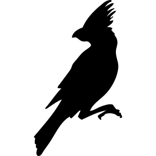 Parrot Stencil