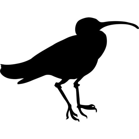 Curlew Bird Stencil