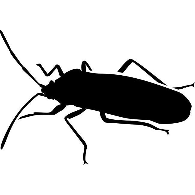 Beetle 01 Stencil