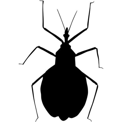 Beetle 02 Stencil