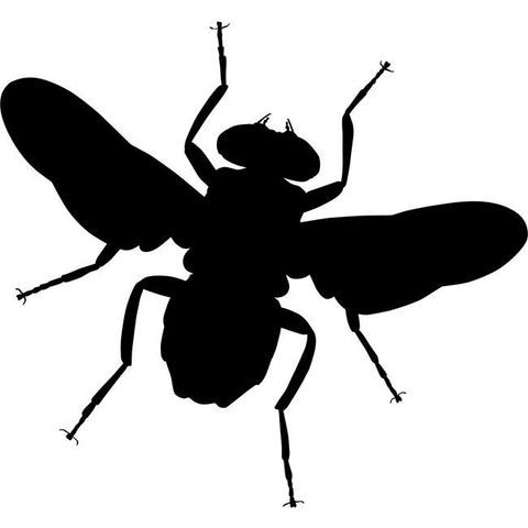 Housefly Stencil