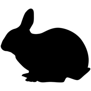 Hopping Rabbit Craft Stencil