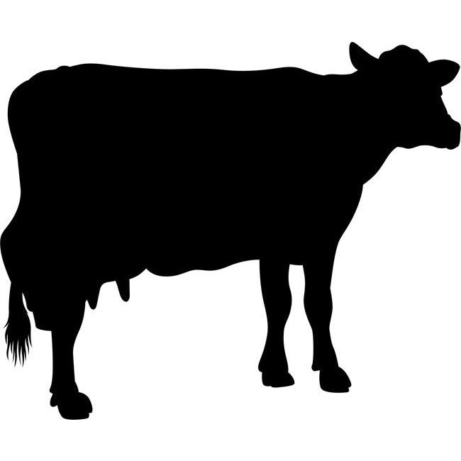 Lady In Waiting Cow Stencil 02