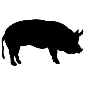 Young Pig Craft Stencil