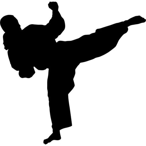 Back Kick Karate Silhouette Stencil