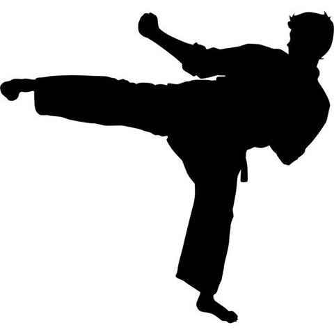 Reverse Roundhouse Kick Karate Stencil