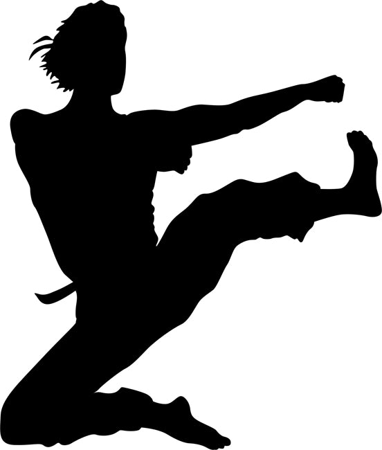 Flying Kick Karate Stencil