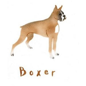 Boxer Greeting Card